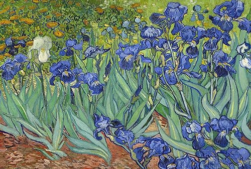 Jigsaw Puzzles for Adults 1000 Piece Irises by Vincent Van Gogh 27.56 x 19.69 Inch Puzzles for Adults Educational Challenge Toy 1000 Pieces Van Gogh Puzzles for Adult