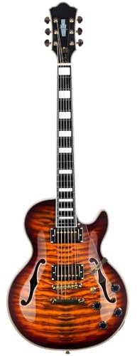 Anfänger Elektrische Gitarre Anfänger Humbucker Pickup LP E Gitarre Palisander Griffbrett Professionelle Leistung Langlebig(Brown)