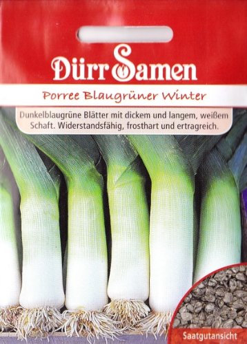 Dürr-Samen - Lauch Blaugrüner Winter Saatgut