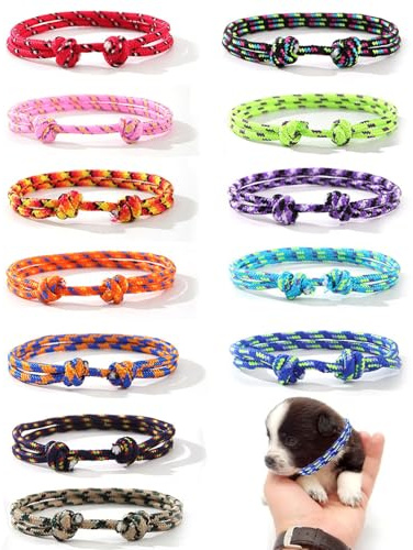 TOZBLEU 12 x Hundehalsbänder, Hundemarken-Halsbänder, verstellbare Hundehalsbänder, Katzenhalsbänder, Geburt, Haustiere