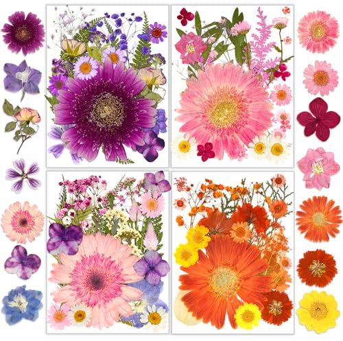 Torkade blommor pressade epoxiharts blommor för ljustillverkning äkta naturliga pressade blommor och torkade blad gör-det-själv set epoxiharts tvål scrapbooking (100 st