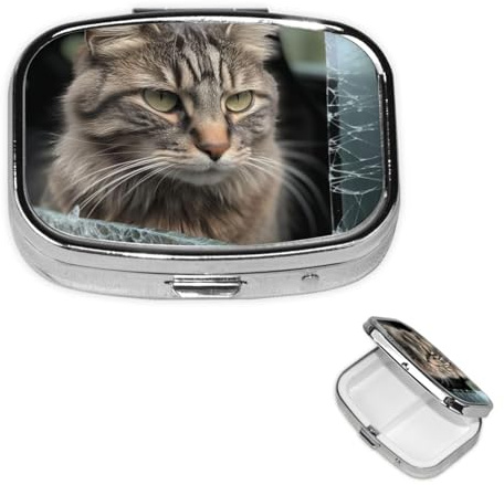 Cat Smashes Boîte à pilules en verre avec miroir, 2 compartiments pour sac à main ou poche Mini pilulier en métal pour voyage, médicaments, vitamines, cadeau de voyage