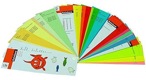 CANSON Zeichenkarton Bristol, 500 x 650 mm, 250 g qm, weiß