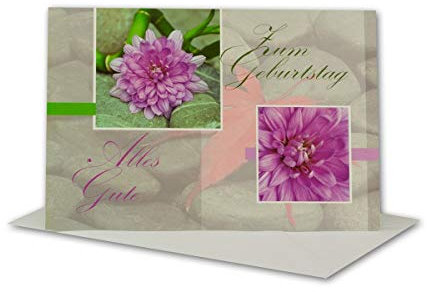Geburtstagskarten Set 10 Stück mit Umschlag Weiß DIN B6 - Motiv Rosa Blume & Steine - Zum Geburtstag Alles Gute - Glückwunschkarte Geburtstag Klappkarte