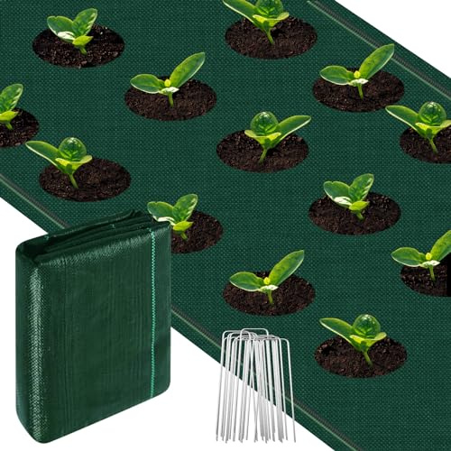 smtfcty Unkrautschutzmembran, 1 m x 5 m, 100 g/m², robustes Unkrautvlies mit 10 Stück Gartensicherungshaken, Bodenabdeckungsmembran, UV-stabilisiertes Unkrautbarriere-Gewebe, unter Terrassen, Garten