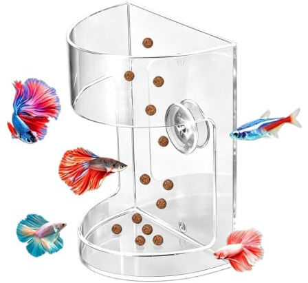 Mangeoire à poisson Avec ventouse, distributeur transparent en acrylique | Collecteur de nourriture pour aquarium Pour tortue, betta, silure, tropical, eau de mer, bureau