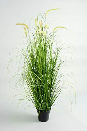 Klocke Kunstpflanzen Hochwertiges & Künstliches Gras/Dekogras mit Schilf - Wunderschön & Naturgetreu - Grasarrangement/Gras Arrangement/Grasbüschel/Grasbündel (Groß: 145cm)
