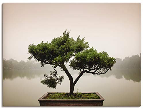 ARTLAND Wanddeko Leinwand Bilder Wandbild 60x45 cm Botanik Bäume Fotografie Grün Chinesischer Bonsaibaum T9IC