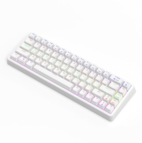 Goshyda Teclado Mecánico para Juegos con Cable, Teclado de Ordenador Portátil Compacto Tipo C de 68 Teclas con Retroiluminación RGB, para Wins para OS X