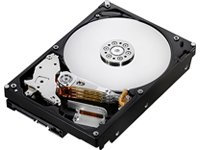 Hitachi - Deskstar 7K1000.B - Disco duro - 1 TB - interno - 3,5 - SATA-300 - 7200 rpm - búfer: 16 MB