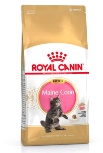 Royal Canin Katzenfutter Feline Kitten Maine Coon 36, 4 kg, 1er Pack (1 x 4 kg)