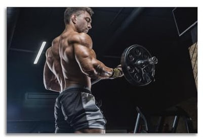 BPQN Workout-Poster, Langhantel-Armübung für Männer, dekoratives Gemälde, Leinwand, Kunstbild, 30 x 45 cm