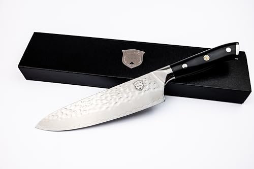 Generisch neilnoir Küchenchefmesser 14 - Pro VG10 Damaststahl mit 67 Lagen - Spülmaschinenfest mit G10 Griff - 20 cm