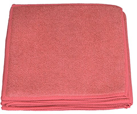 Sonty Schwammtuch waschbar XL - 10 Stück Spültücher Microfaser | Anti Fett Pad & Spüllappen für WC, Sanitär, Bad & Haushalt | Saugstarke Mikrofaser mit Schaumstoffkern 23x23 cm groß (Rot)