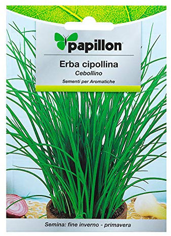 Sementi per orto ERBA CIPOLLINA Papillon