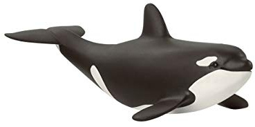 Schleich WILD Life | Orka Junges 14836 | 5 x 10 x 4 cm | Spielfigur ab 3 Jahren | detailgetreue Tierfiguren | detailgetreue Tierfigur | Geschenk für Jungen und Mädchen