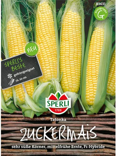 Sperli Gemüsesamen Zuckermais Tatonka, grün