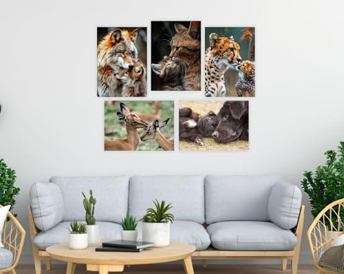 M1SS (Set of 5 A3 Styrene Front Frameless Clip Frame Classic Wall Mountable Picture Frame ideal for Photo Poster portraits For Home, Office (29.7 x 42 CM)