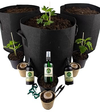 Premium Cannabis Anbau Starterset für drei Gras/-Weed Pflanzen inkl. Dünger und Anbauanleitung