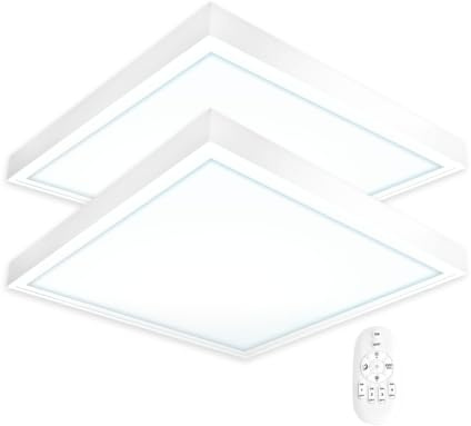 2x LED Panel 62x62 Neutralweiß 5000K 40W dimmbar mit Fernbedienung | mit Steck-Aufbaurahmen Alu Netzteil