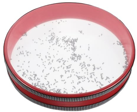 Abaodam Instrument Für Kinder Percussion Drum Sound Making Drum Musik-bildungsspielzeug