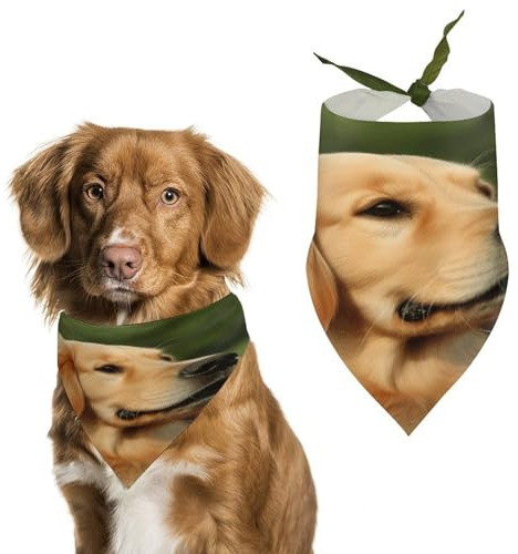Hundehalstücher mit Golden Retriever, niedlich, weiche Baumwolle, waschbar, für den täglichen Sommer, langlebig, dreieckig, wendbar, geeignet für kleine, mittelgroße und große Hunde und Katzen