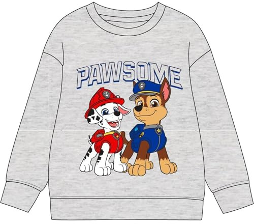 CERDÁ Life'S Little Moments Sudadera Paw Patrol diseño Original y Licencia Oficial | Ropa Infantil cómoda, Abrigada día Unisex niños
