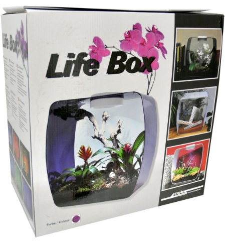 Lucky Reptile Life Box 35 bär, nanoterrarium av akrylglas