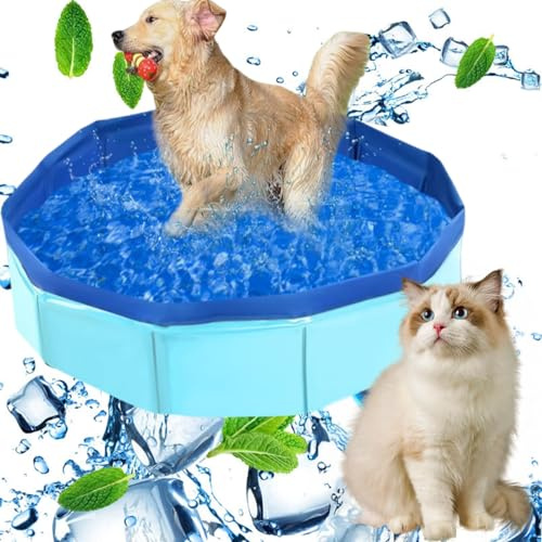 Hundepool Klein,Hunde Pool,Faltbarer Hundepool,Hunde Planschbecken,Planschbecken für Haustiere,Hunde Pool für Kleine Hunde Katze,Hund Schwimmbecken Tragbare,Hundepool Schwimmbad (Blue, 80x20cm)