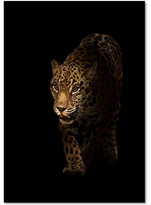 Tulup Glas-Bild Wandbild aus Glas - Wandkunst - Wandbild hinter gehärtetem Sicherheitsglas - Dekorative Wand für Küche & Wohnzimmer 70x100 - Tiere - Jaguar - Schwarz