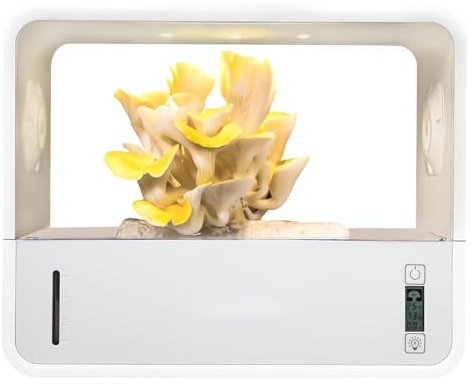 SAYEYBU Kit De Culture De Champignons, BoîTe à Air Calme avec Surveillance De La TempéRature, Humidification Automatique, BoîTe De Culture De Champignons,Blanc