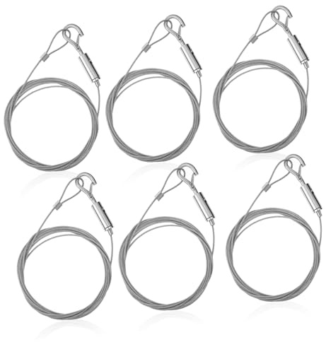 FUTUREORYY 6 pezzi Cavo Sospensione Acciaio Inossidabile Gancio Sicurezza per Appendere Foto Specchi e Lampade Capacità per Decorazioni e Organizzazione