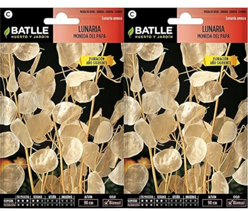 Batlle - Semi di Fiori lunaria Moneta del Papa (Confezione da 2)