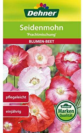 Dehner Blomfrön, silkesvallmo, praktblandning, 5-pack (5 x 2,5 g)