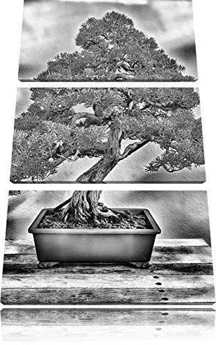 Pixxprint Bonsai Baum, Leinwandbild 3 Teilig, Gesamtmaß: 120x80cm, Wandbild, Dekoration, fertig gespannt, Kein Poster
