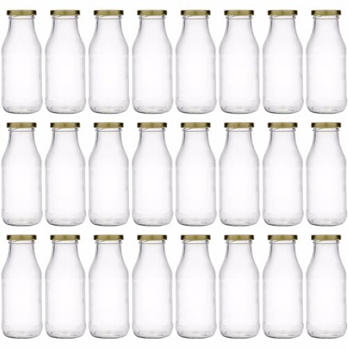 Flaschenland 24 Glasflaschen 250 ml inkl. Twist-Off-Deckel und breiter Öffnung, Saftflaschen, Ideal zum Abfüllen heißer und kalter Säfte, Smoothie, Milch, Tee, Dressing oder Soßen | Made in Germany