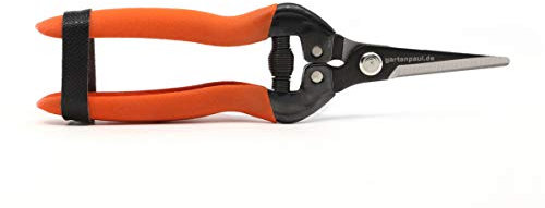 GARTENPAUL Floristenschere Blumenschere, für Pflanzen & Draht, Rebschere Winzerschere Gärtner Winzer Schnittblumen Pflanzenschere, Weinreben Reben Schere Garten Blumen Blütenschere Rosenschere