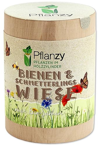 Feel Green Pflanzy Bienen- & Schmetterlingswiese, Bio Samen, Nachhaltige Geschenkidee (100% Eco Friendly), Grow Your Own/Anzuchtset, Pflanzen im Holzzylinder, Made in Austria