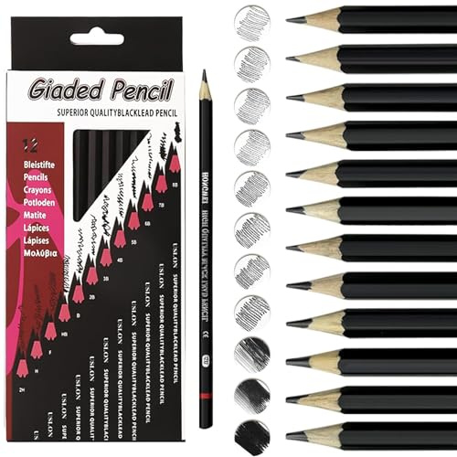 liuchanghe Bleistift Set, 12 Stück Zeichenstifte, 2H H F HB B 2B 3B 4B 5B 6B 7B 8B, für Kinder Erwachsene Anfänger Professionelle zeichnen