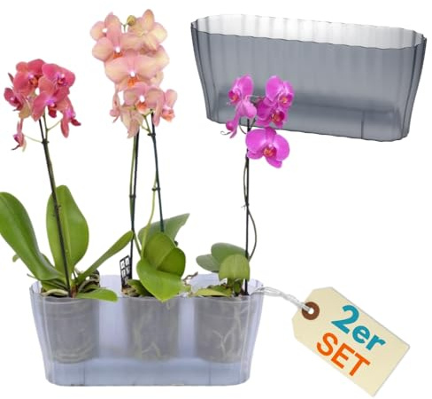 GarPet 2er Set Orchideentopf Transparent Orchideen Übertopf Pflanztöpfe Übertöpfe für Orchideen aus Kunststoff Innen Elegant Durchsichtig Orchideentopf groß rauchfarbig