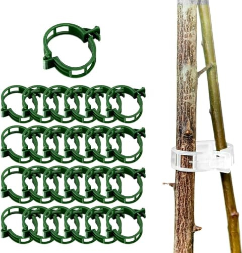 JOHNBOLIN 2025 New Plant Clips, 200 Pieces, Green, Plastic, Clip-On, Supports Climbing Plants, Tomatoes, Cucumbers, Grafting Tools