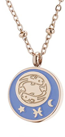 PAMTIER Damen Edelstahl Coin Disc Sternzeichen Halskette 12 Konstellation Sterne Horoskop Anhänger In Roségold Fische