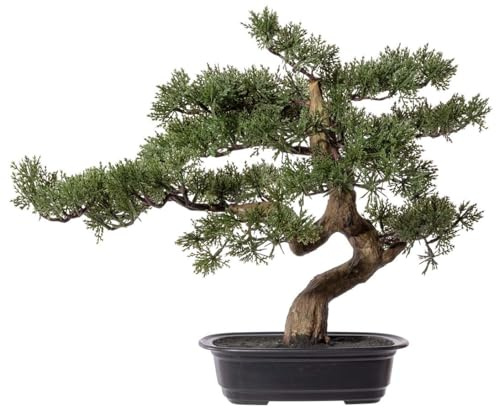 Bonsai Zeder Kunstbaum 45cm in schwarzer Schale von kunstpflanzen-discount.com