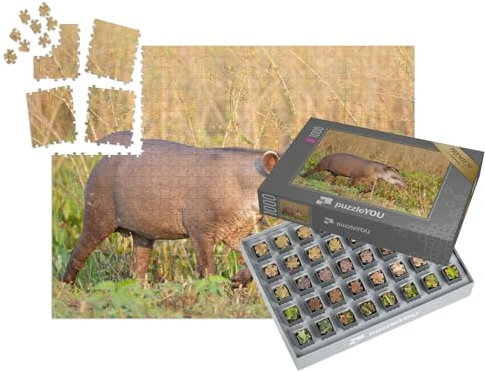 puzzleYOU: SMART Sorted® | Puzzle 1000 Teile leicht gemacht „Tapir, Flachlandtapir im brasilianischen Dschungel“ – aus der Puzzle-Kollektion Tapir