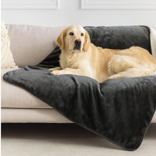 Dreamzie - Plaid Imperméable Chien 100x120 cm - Couverture Imperméable Réversible - pour Lit et Canapé Chien, en Polaire Sherpa - Lavable - Gris foncé