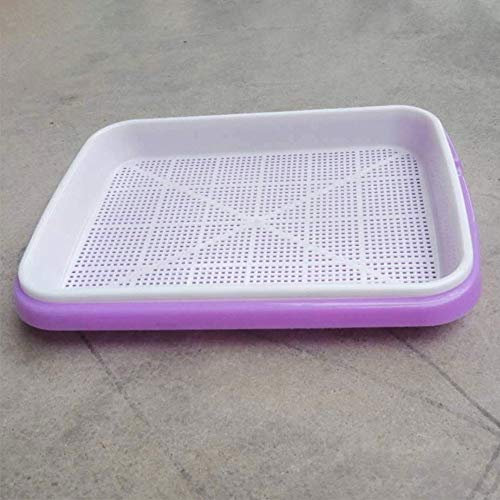 tooloflife Seed Sprouter Tray Soil-Free, Food Grade PP Healthy Wheatgrass Grower, Two-Tiered Plant Soilless Seed Tray for Beans, Peas, Wheatgrass and more Blue/Pink/Green/Purple