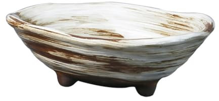 TOBBOMEY Vaso Bonsai Ceramica Giapponese Design Irregolare Per Piante Grasse Contenitore Decorativo Per Giardino e Casa Per Interni Ed Esterni