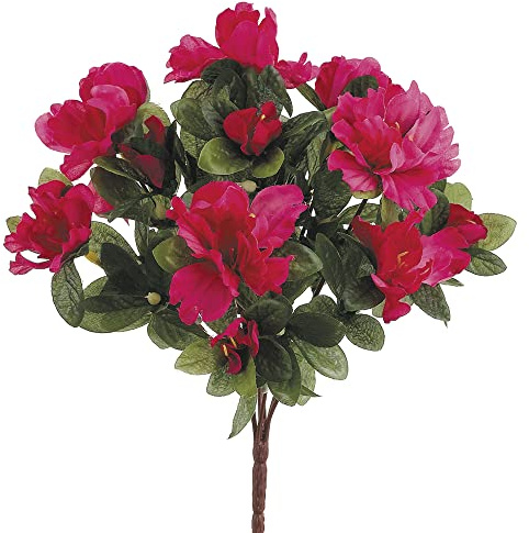 13 Azalea Bush x7 Beauty (Pack of 36)
