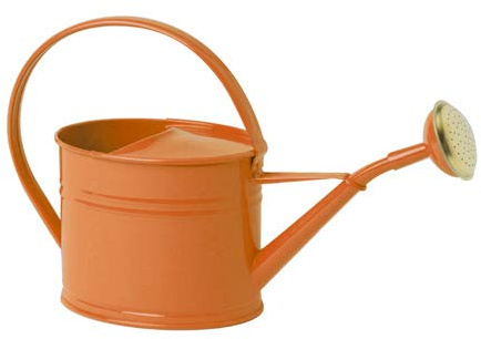 Arrosoir 1, 75L Rouge Corail