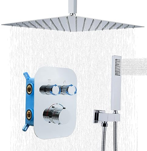 Delnet Upgraded Thermostatic Shower System, 16 Ceiling Mount Rain Shower, Adjustable Flow Control, Dual Mode Showering, Chrome